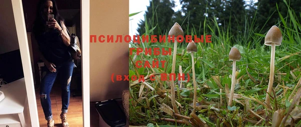 дмт Алзамай