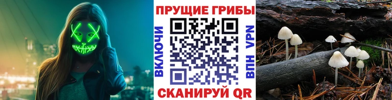 Псилоцибиновые грибы мицелий  hydra сайт  Вышний Волочёк 